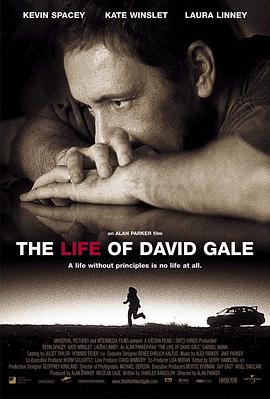 大衛(wèi)·戈爾的一生 The Life of David Gale[電影解說]